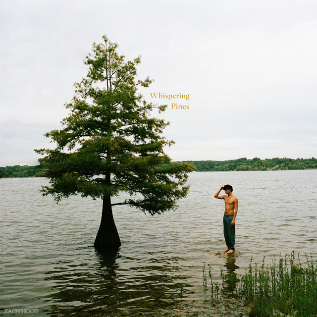 Zach Hood released his debut album “Whispering Pines.” His songs are both true to him and his audience, reflecting everything a modern-day artist should be.